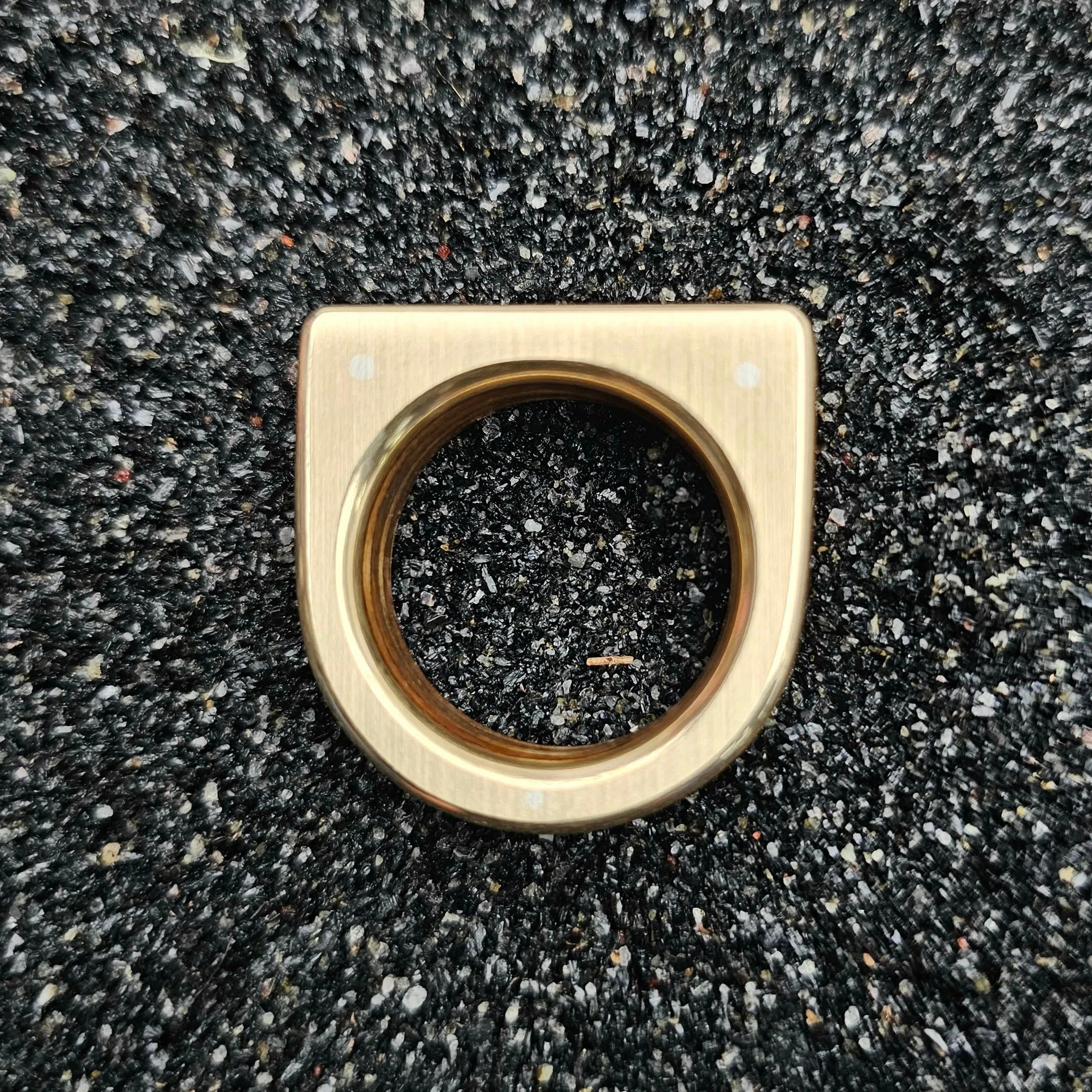 Fossilized Black Brain Coral & Brass Ring - Size 12.5