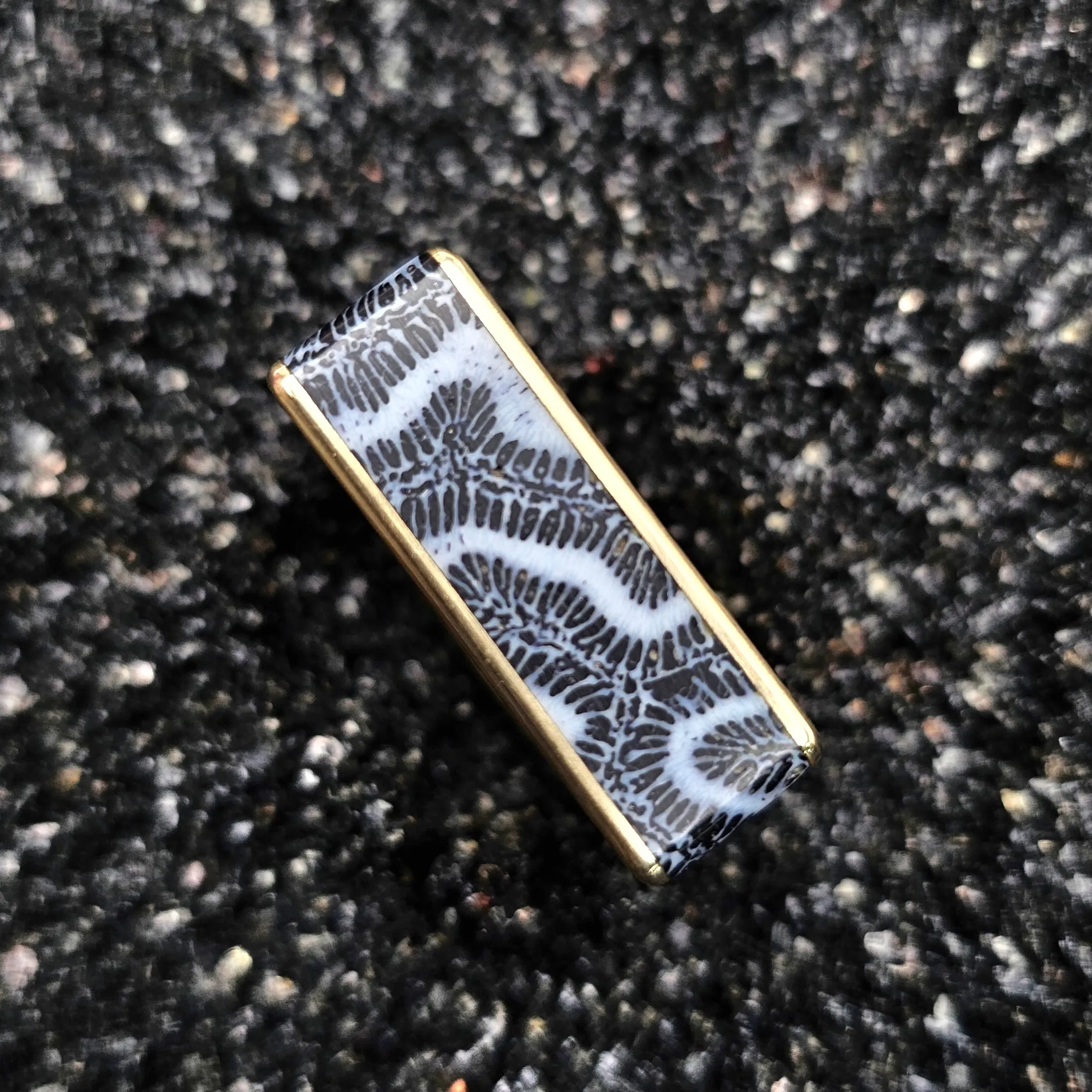 Fossilized Black Brain Coral & Brass Ring - Size 12.5