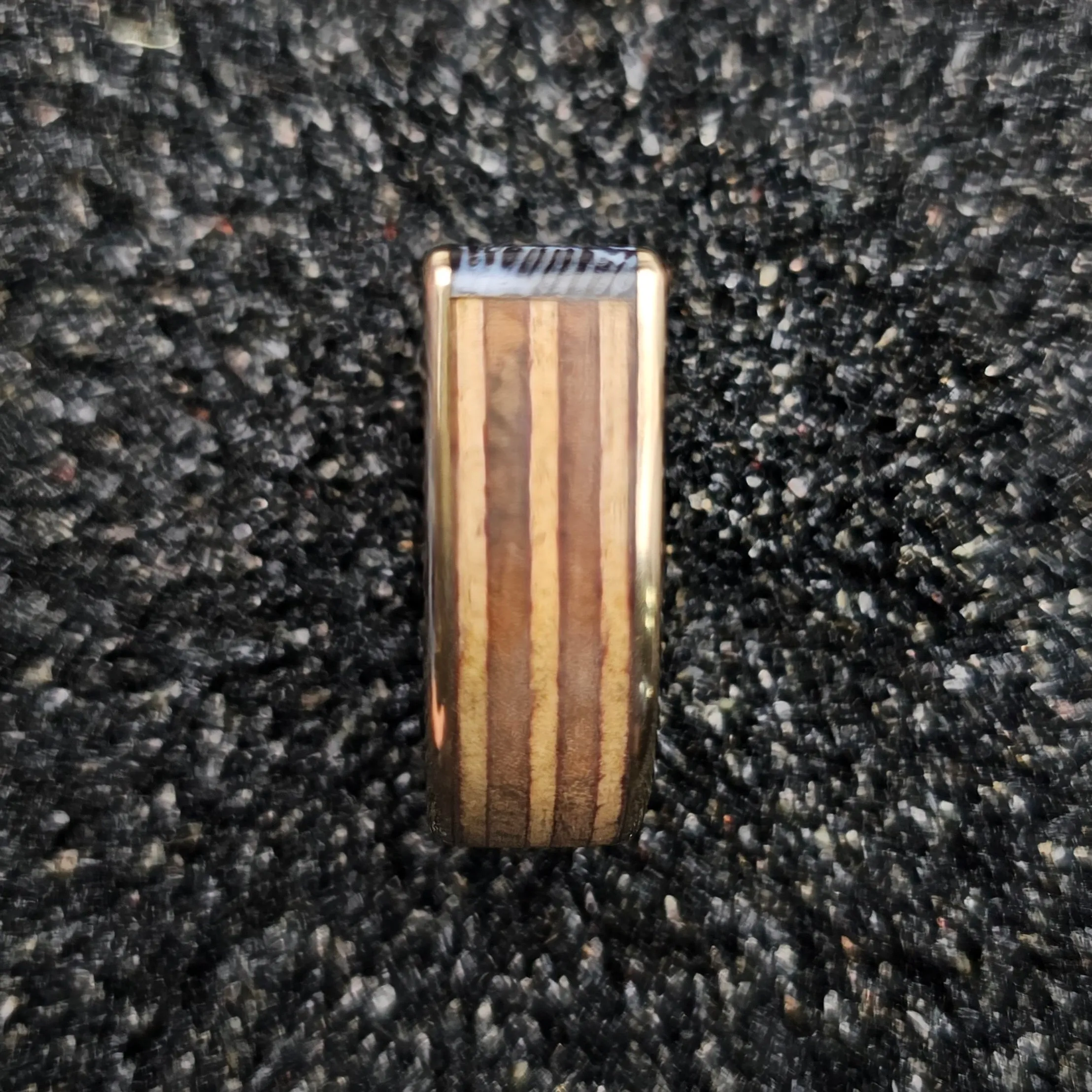 Fossilized Black Brain Coral & Brass Ring - Size 12.5