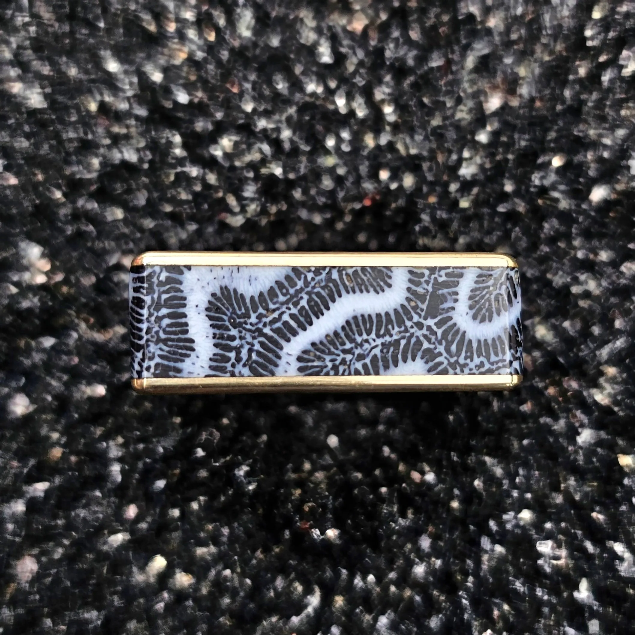 Fossilized Black Brain Coral & Brass Ring - Size 12.5