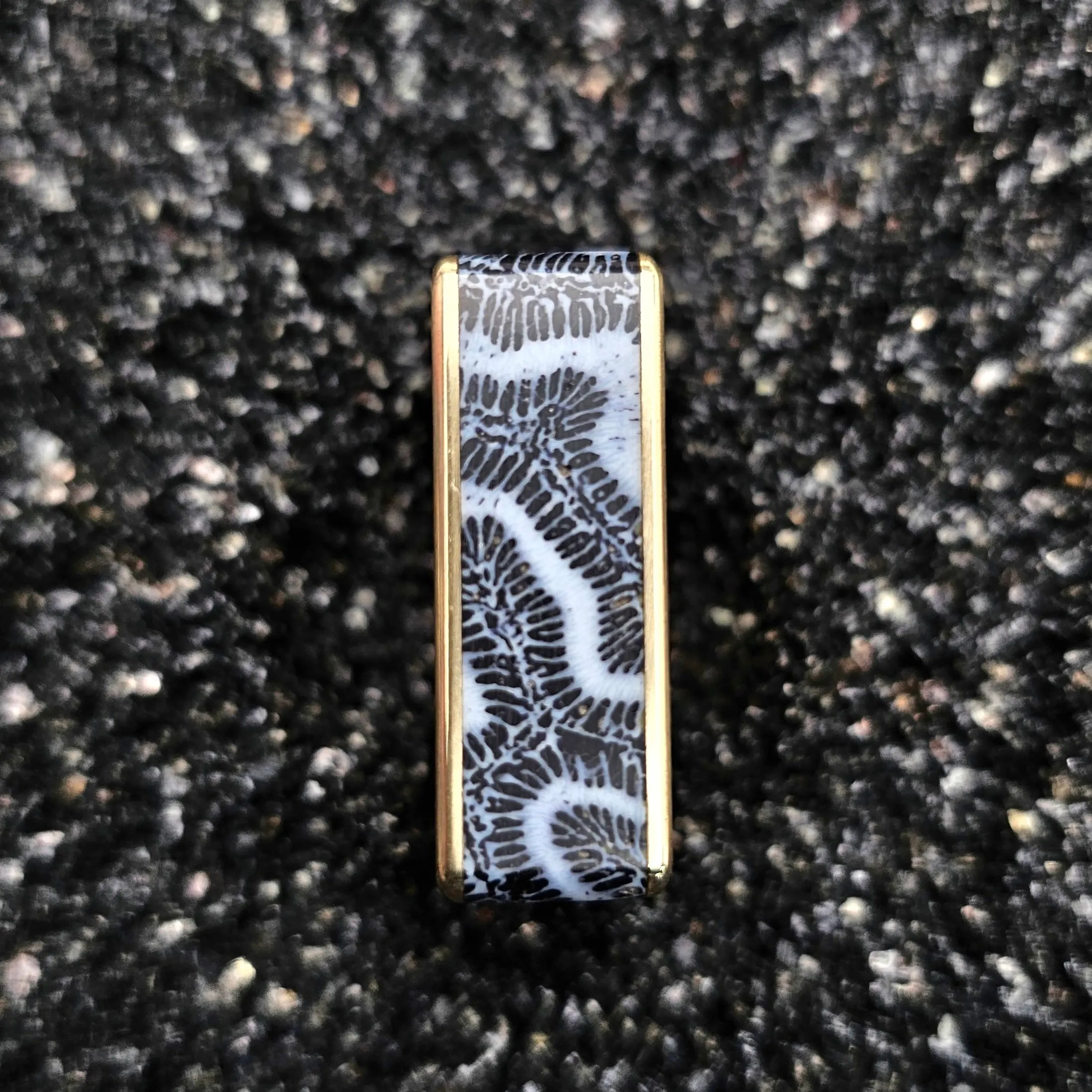 Fossilized Black Brain Coral & Brass Ring - Size 12.5