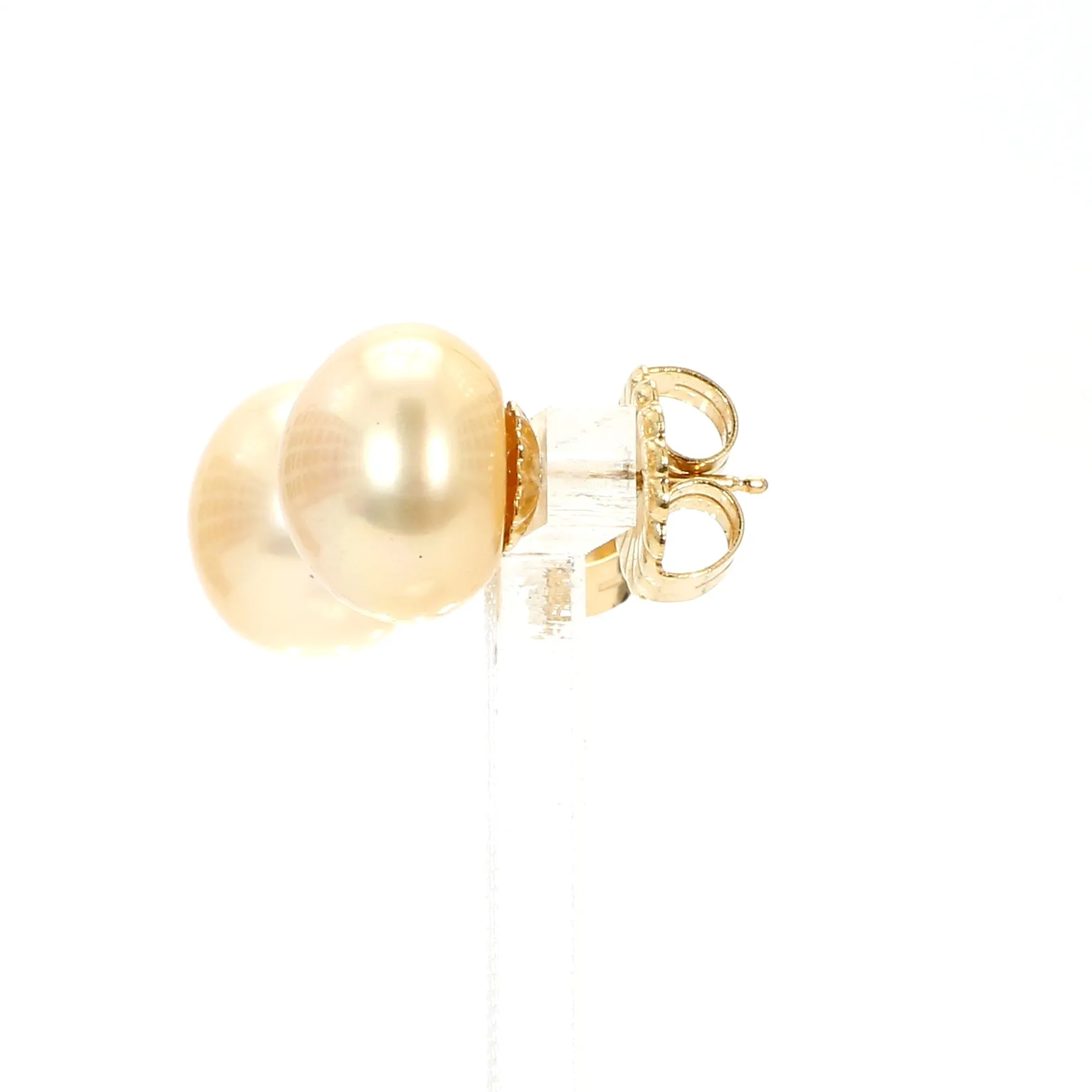 Golden Pearl Stud Earrings