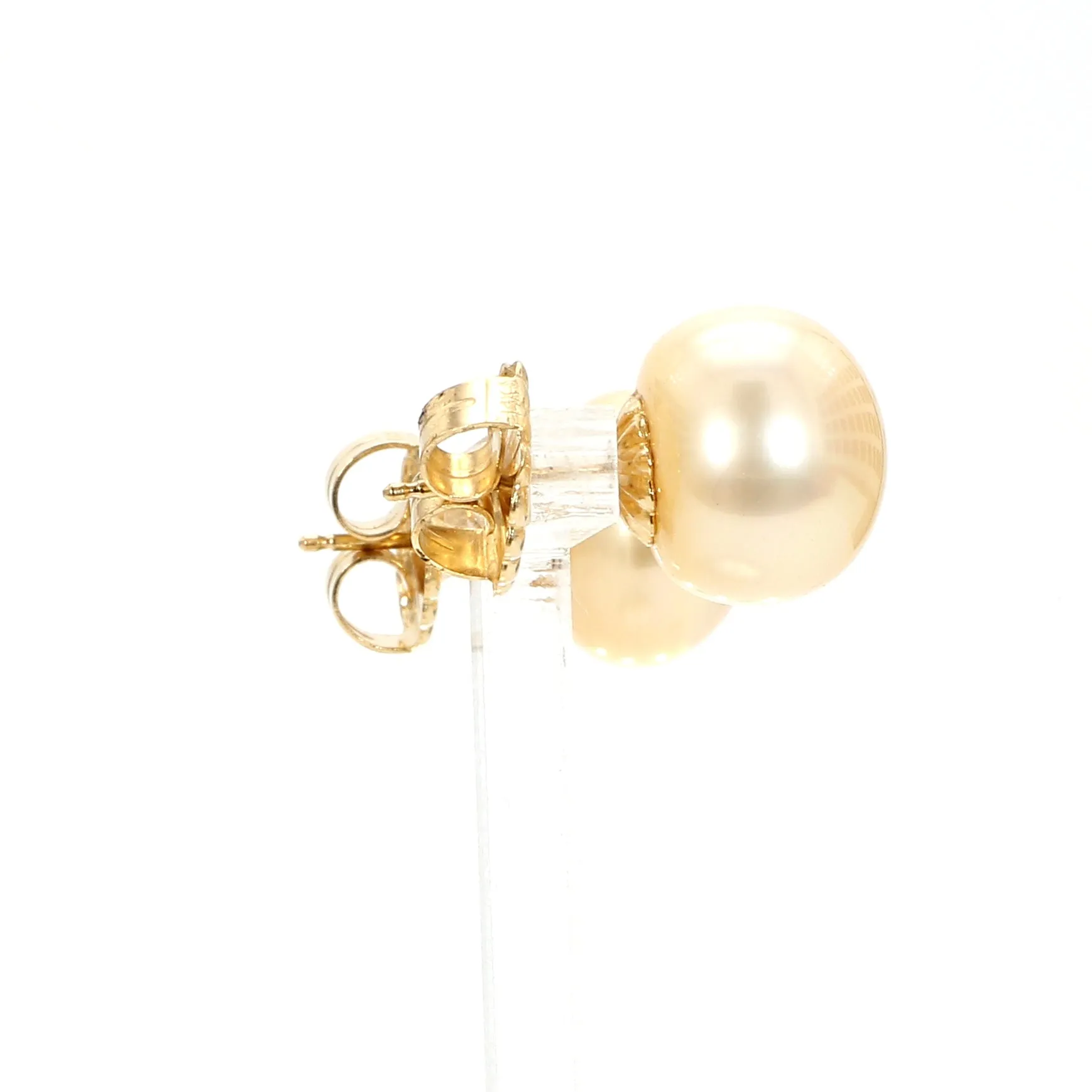Golden Pearl Stud Earrings