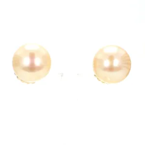Golden Pearl Stud Earrings