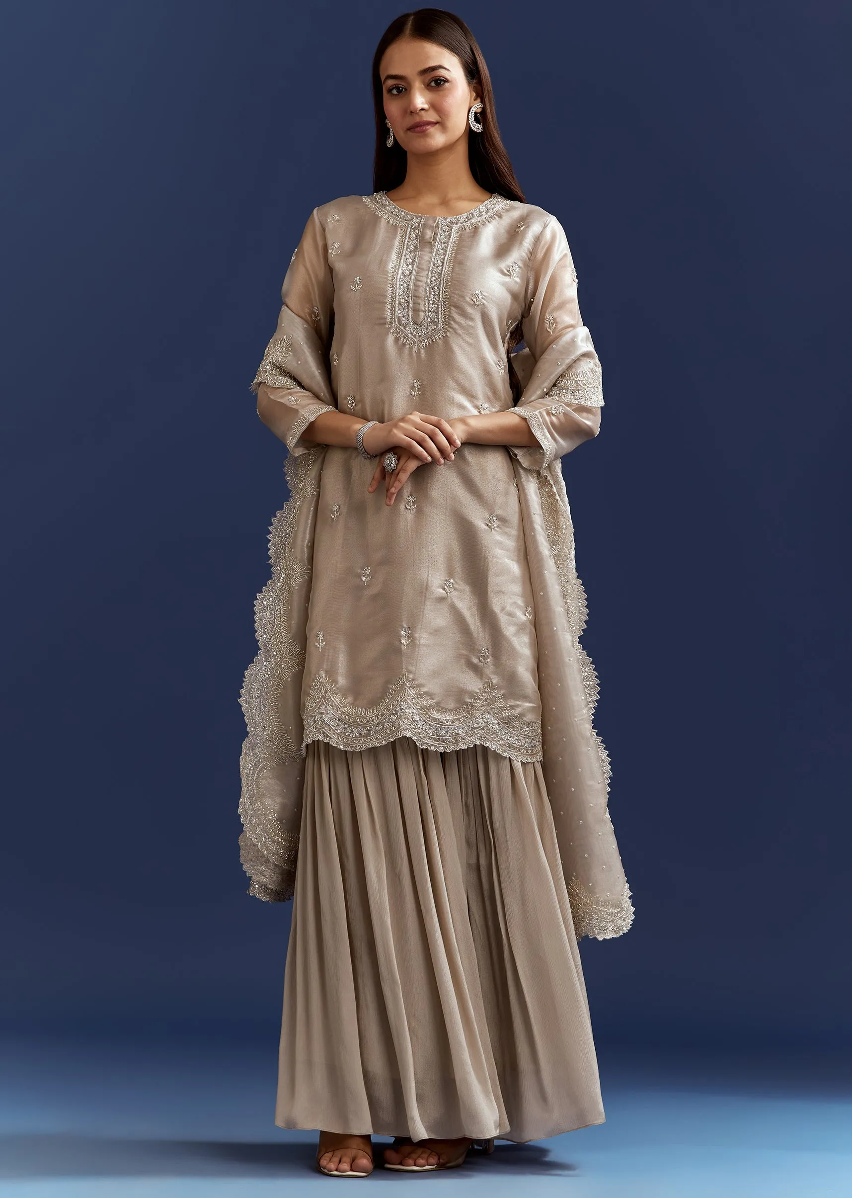 Grey Cutdana And Sequins Kurta With Stone Work Dupatta In Tissue